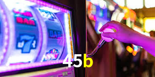 45b App Interface
